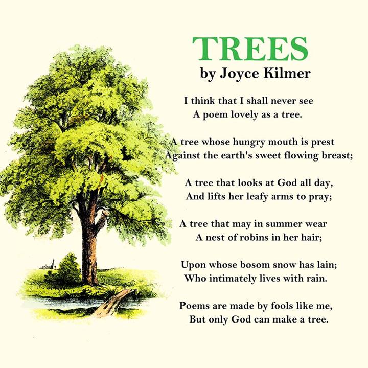 Tree Poem