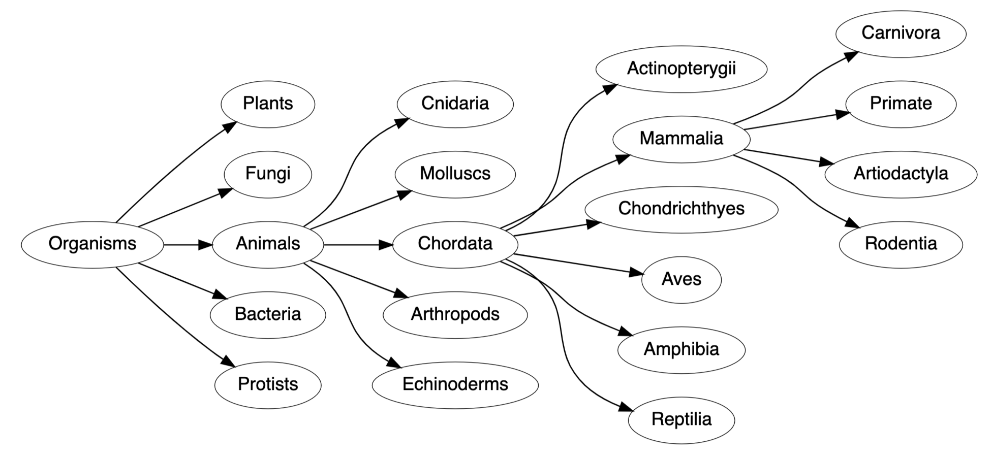 Taxonomy